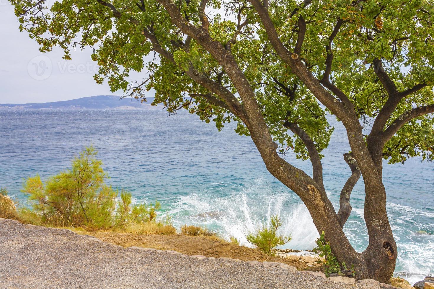 paisagem mediterrânea em novi vinodolski, croácia, atrás de uma árvore. foto
