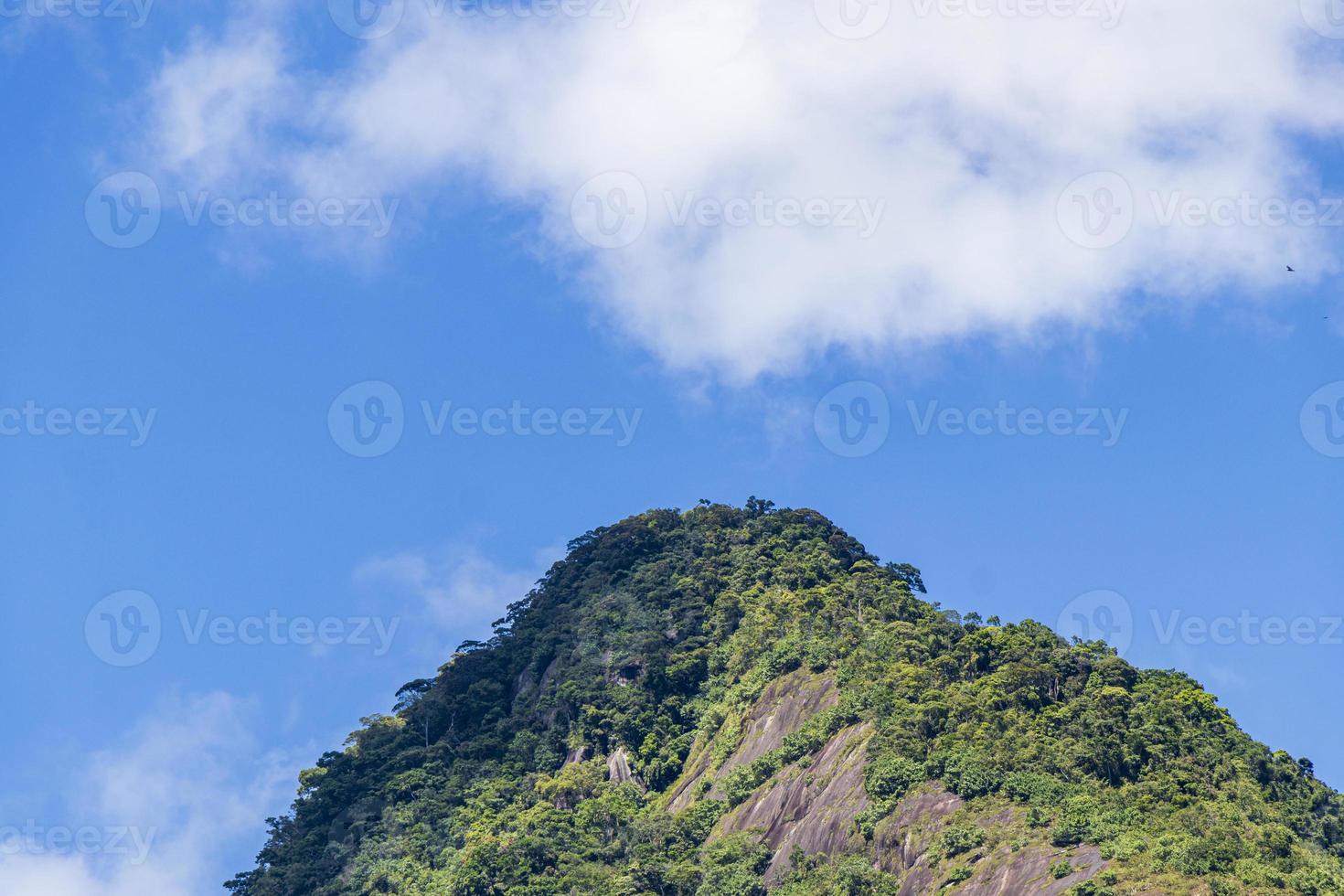 abraao montanha pico do papagaio com nuvens. ilha grande brazil. foto