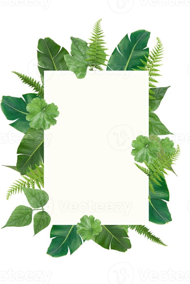 verde tropical quadrado folhas verdes modelo de quadro foto