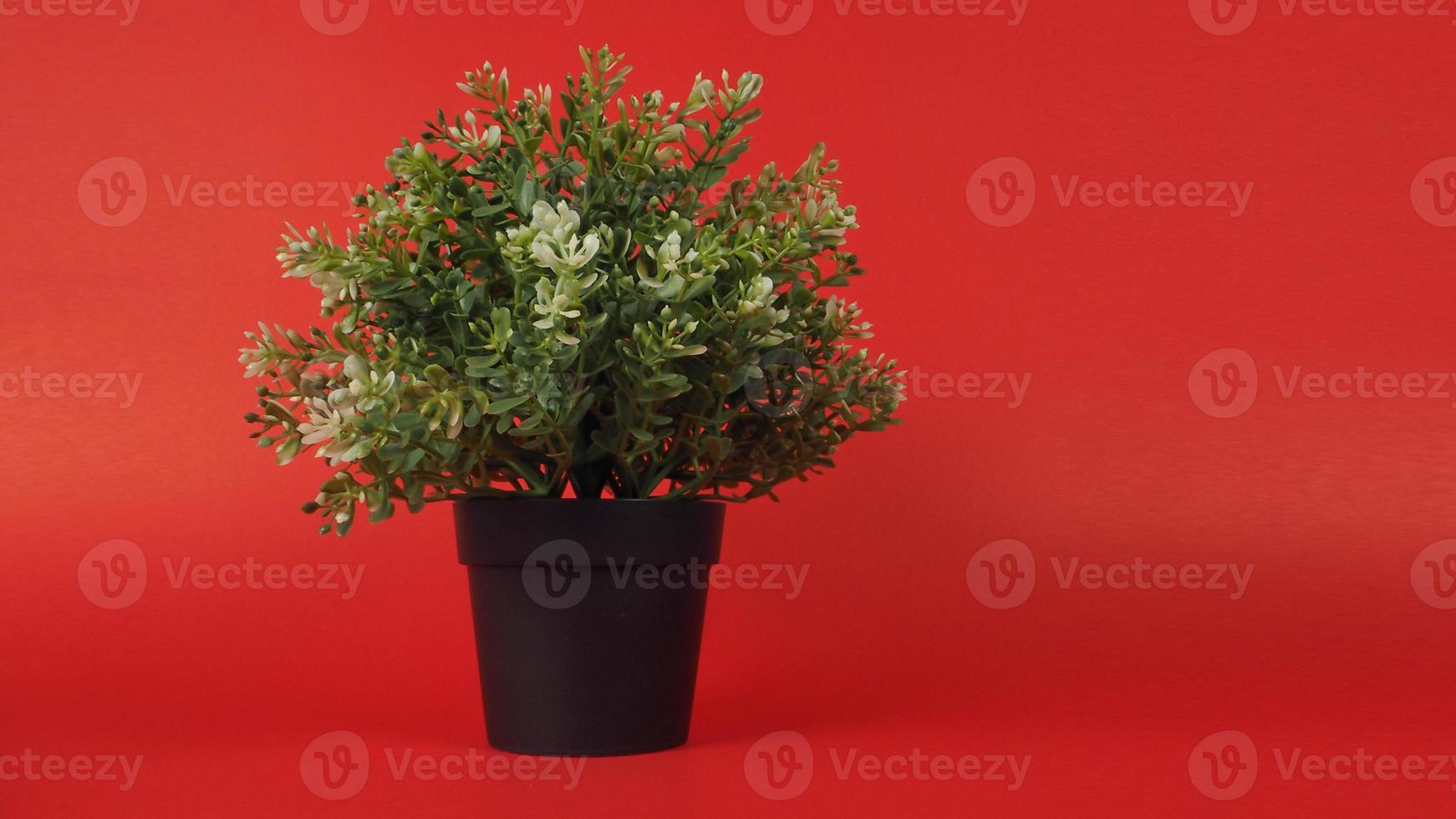 plantas artificiais ou árvore de plástico ou falsa sobre fundo vermelho. foto