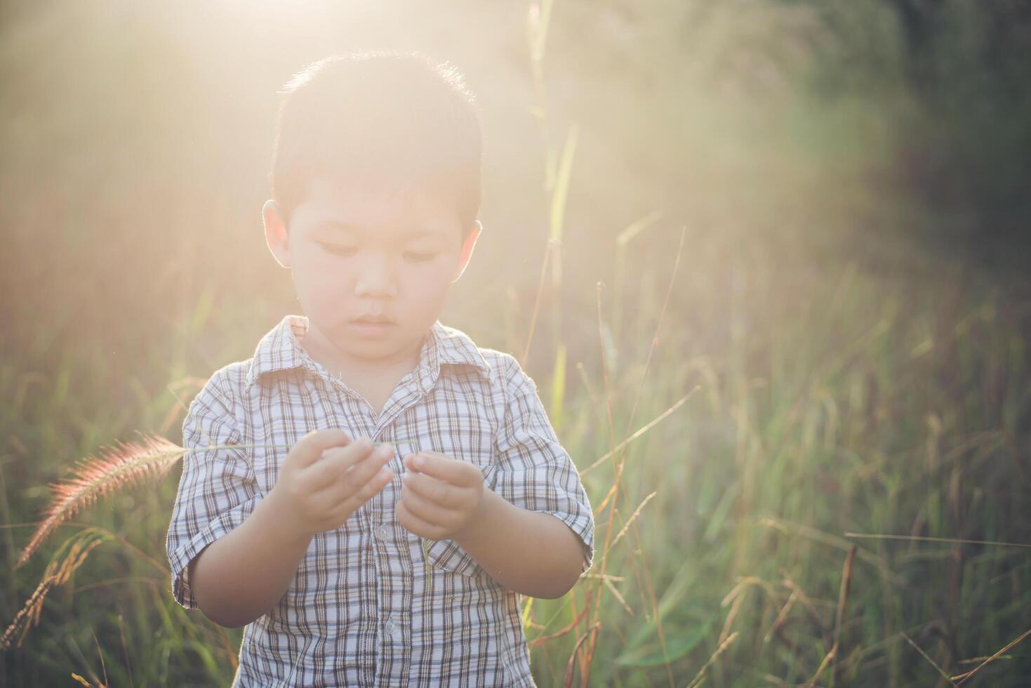 menino asiático feliz brincando ao ar livre. bonito asiático. menino em campo. foto