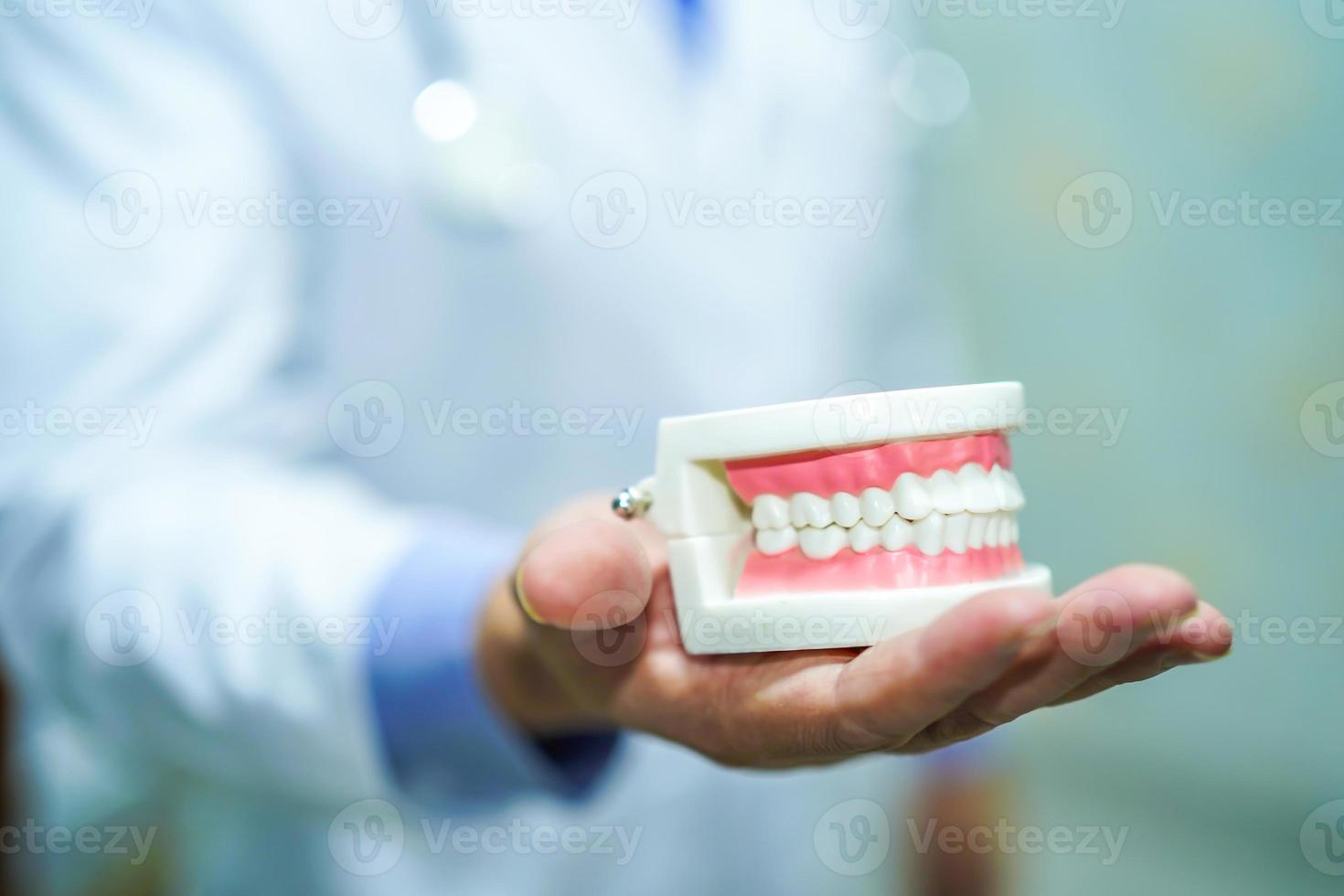 médico dentista segurando o modelo dental de dentes para aprendizagem. foto