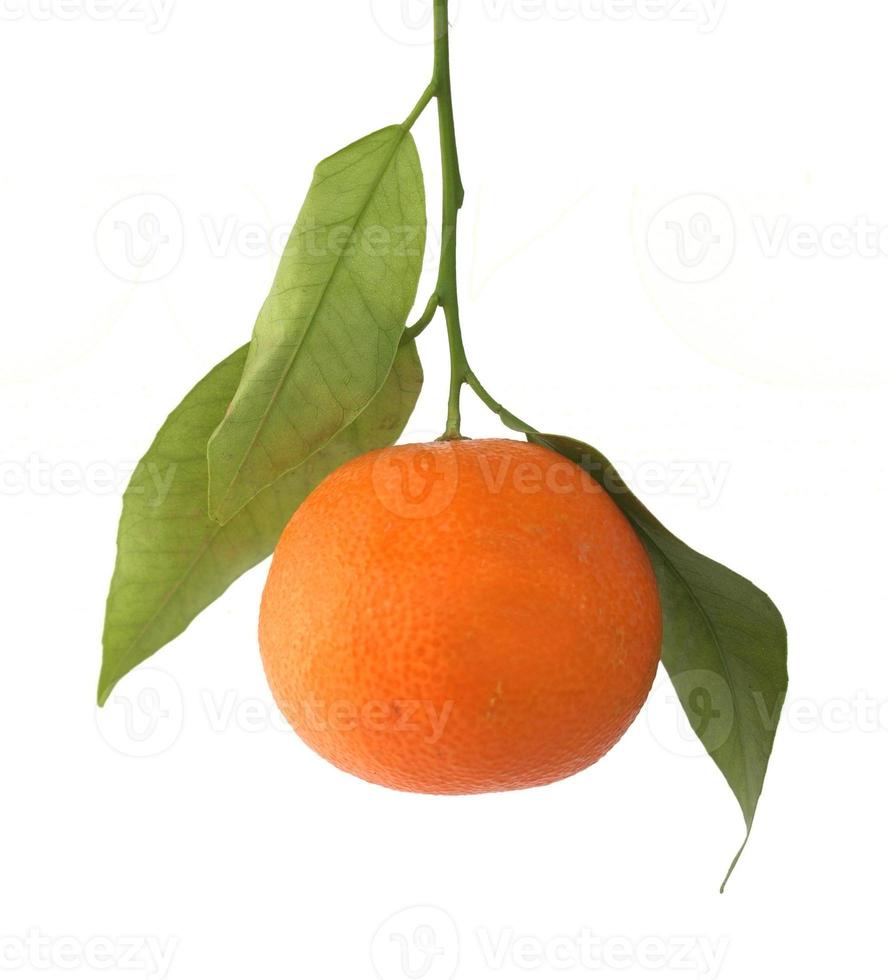 fruta tangerina isolada foto
