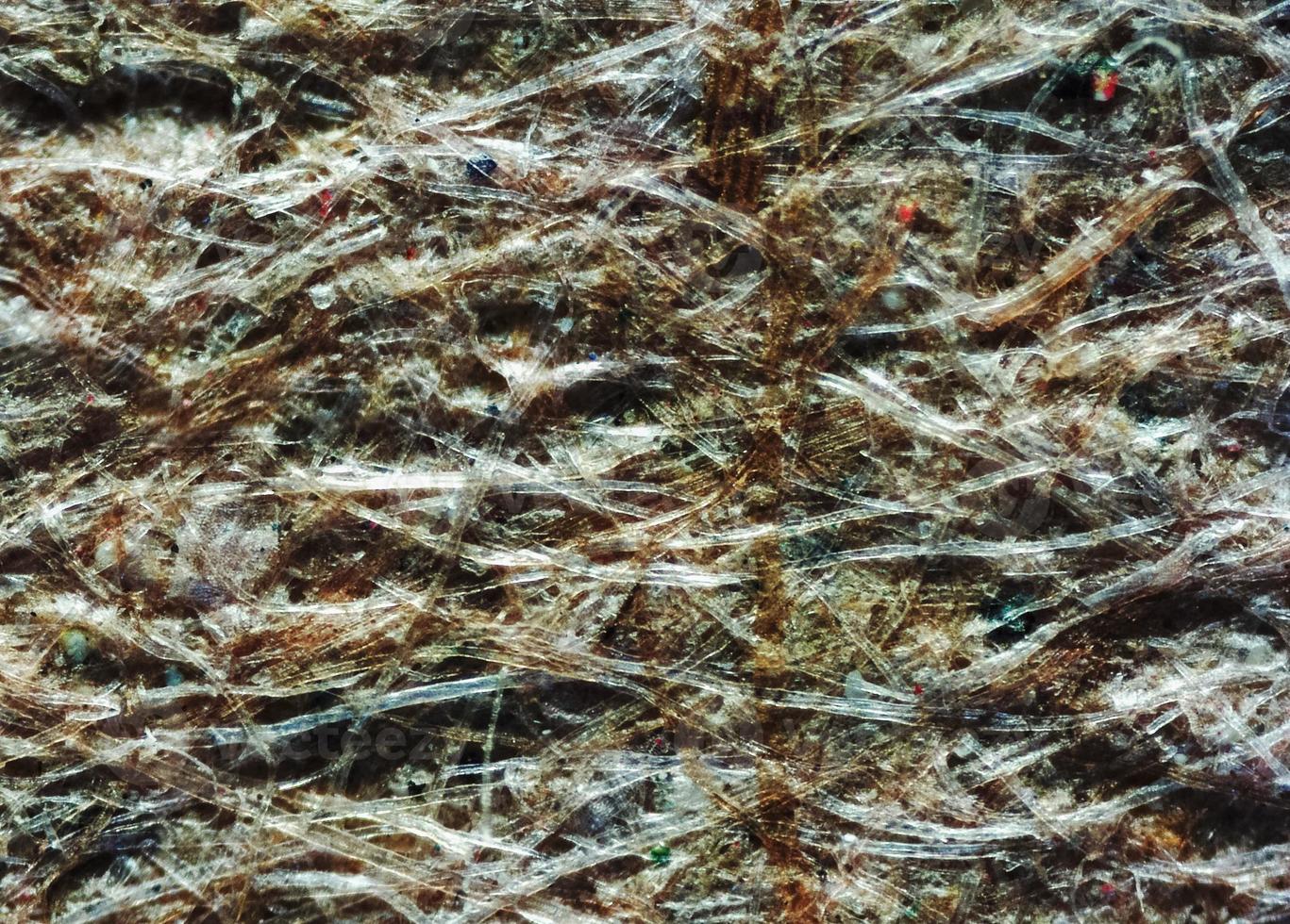 papelão reciclado visto com microscópio foto