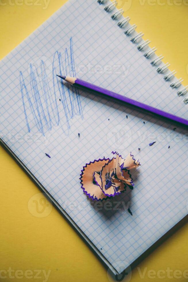 costas para escola. distância Educação. Educação durante a quarentena. estudando e Aprendendo a partir de casa foto