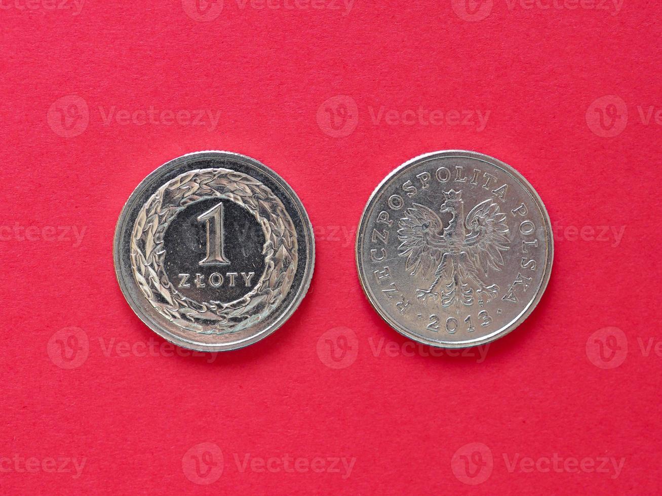 uma moeda zloty, polônia foto