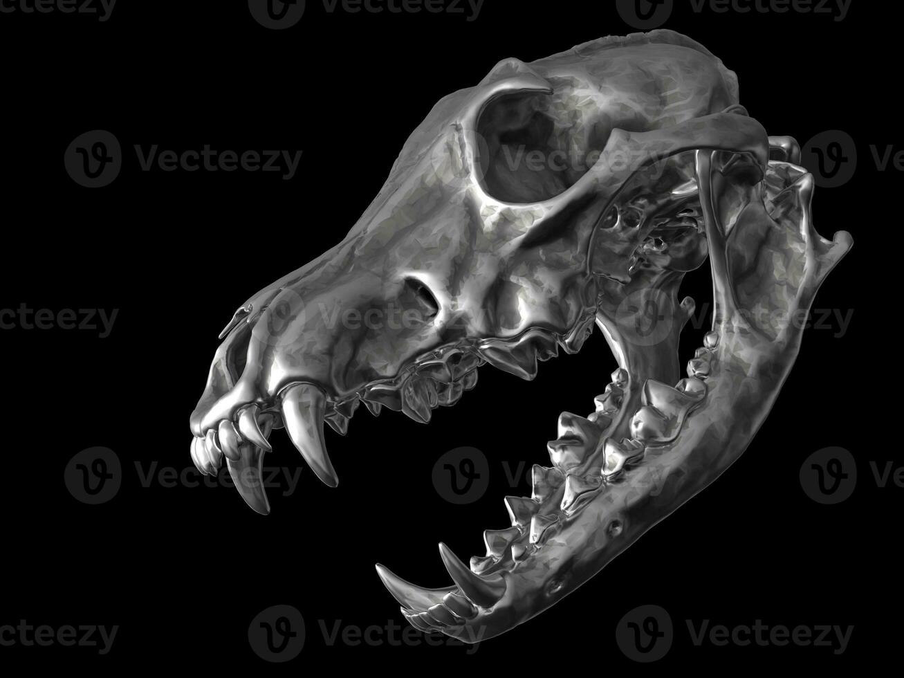 metal Lobo crânio com aberto mandíbulas foto