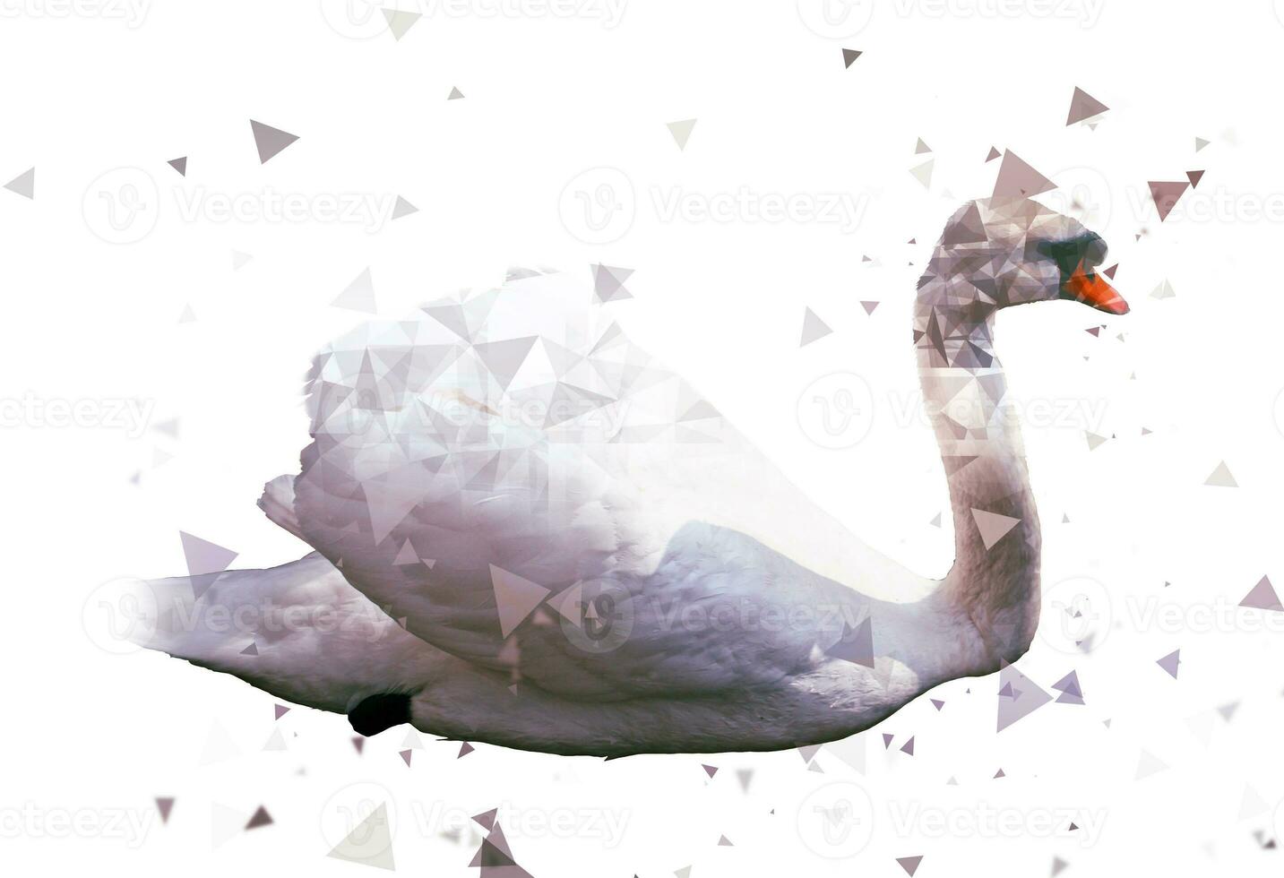 branco cisne - baixo poli efeito - Duplo exposição efeito - isolado em branco fundo foto