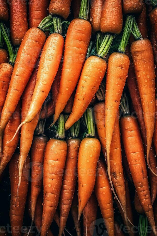 realista foto do uma grupo do cenoura. topo Visão legumes cenário. ai gerado