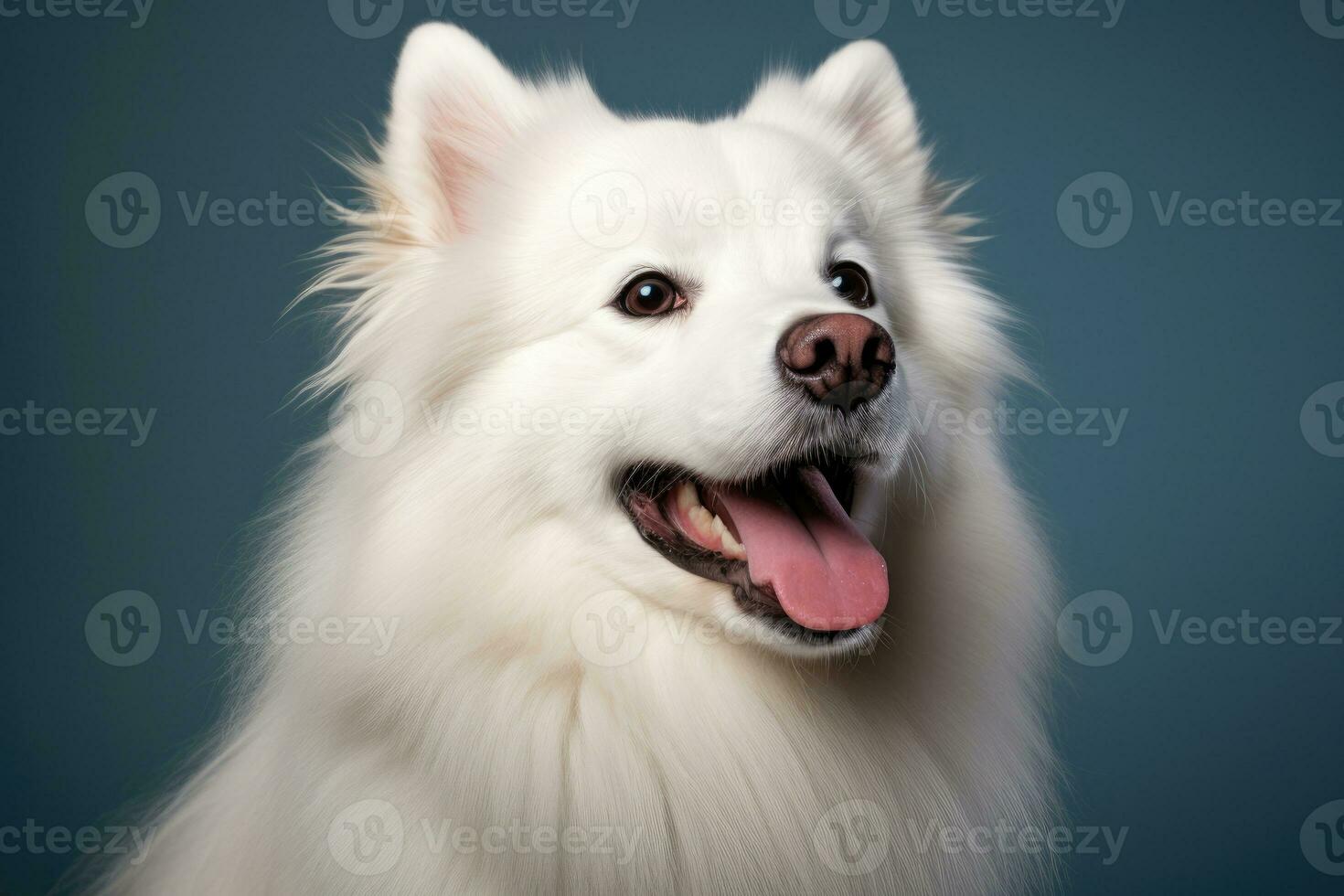 retrato do uma pomerânia cachorro. ai gerado foto