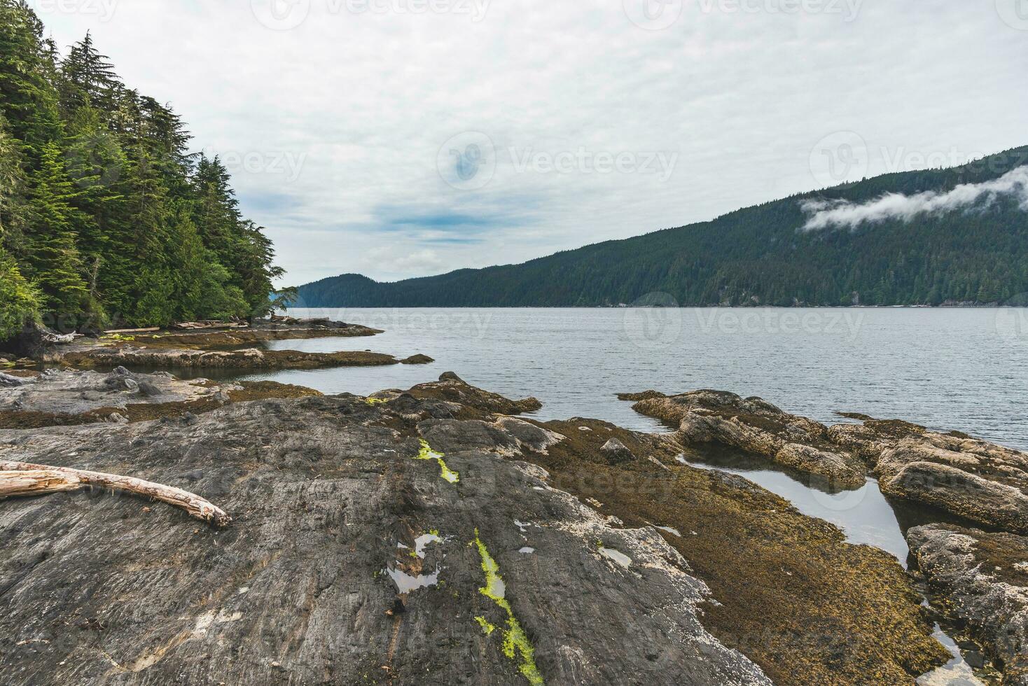 pedras e sempre-verde floresta dentro a oceano baía em Vancouver ilha foto