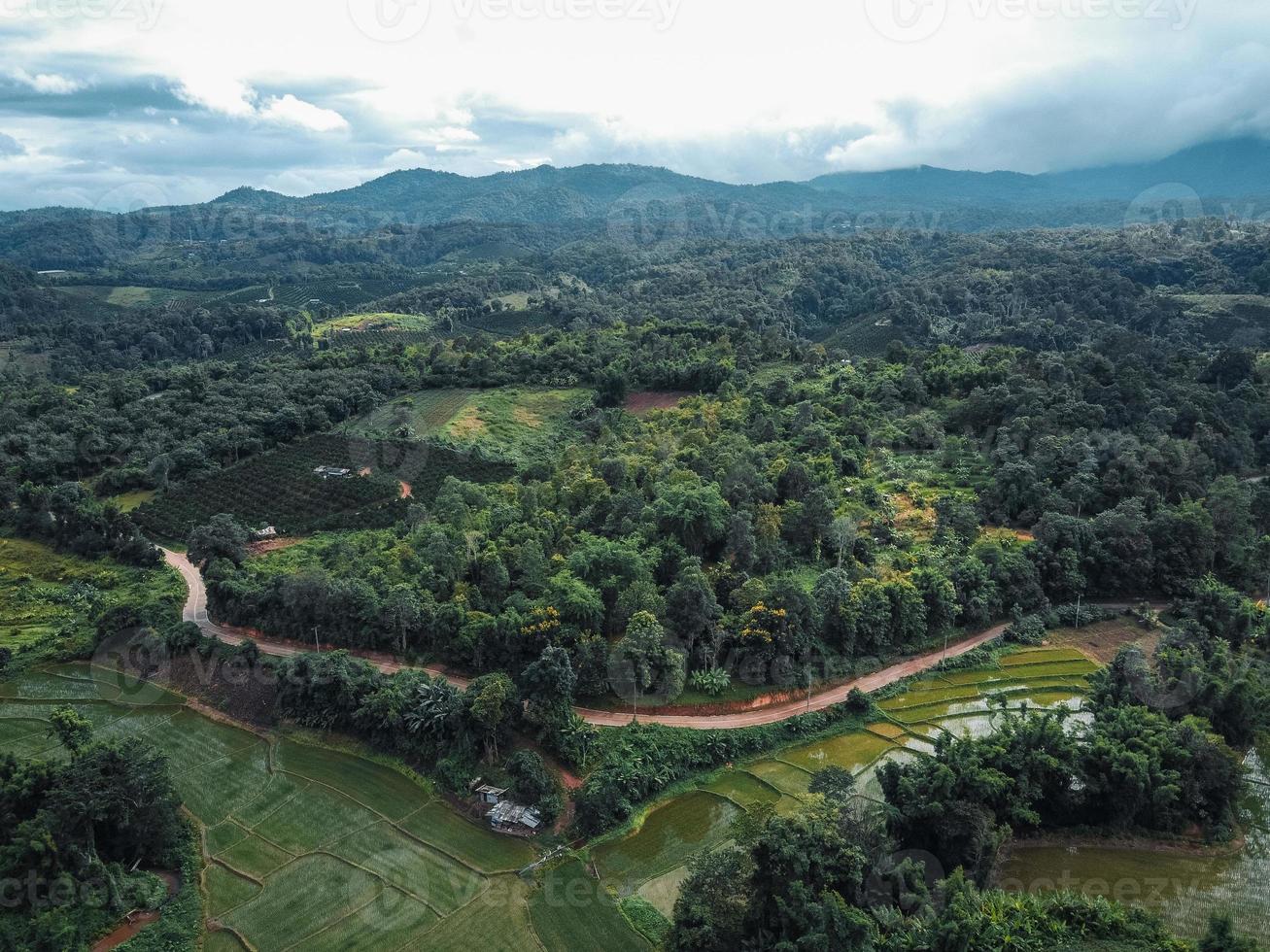 a estrada para a fazenda e campos foto