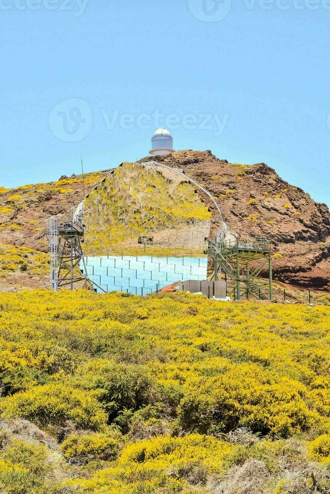 a observatório é em topo do uma Colina com amarelo flores foto