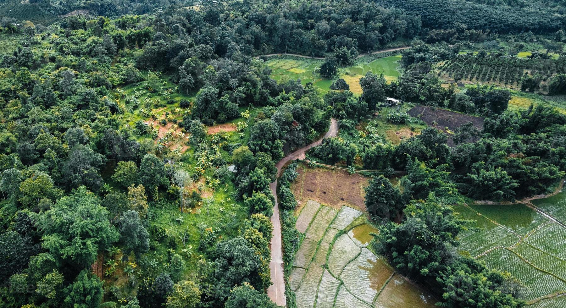 a estrada para a fazenda e campos foto