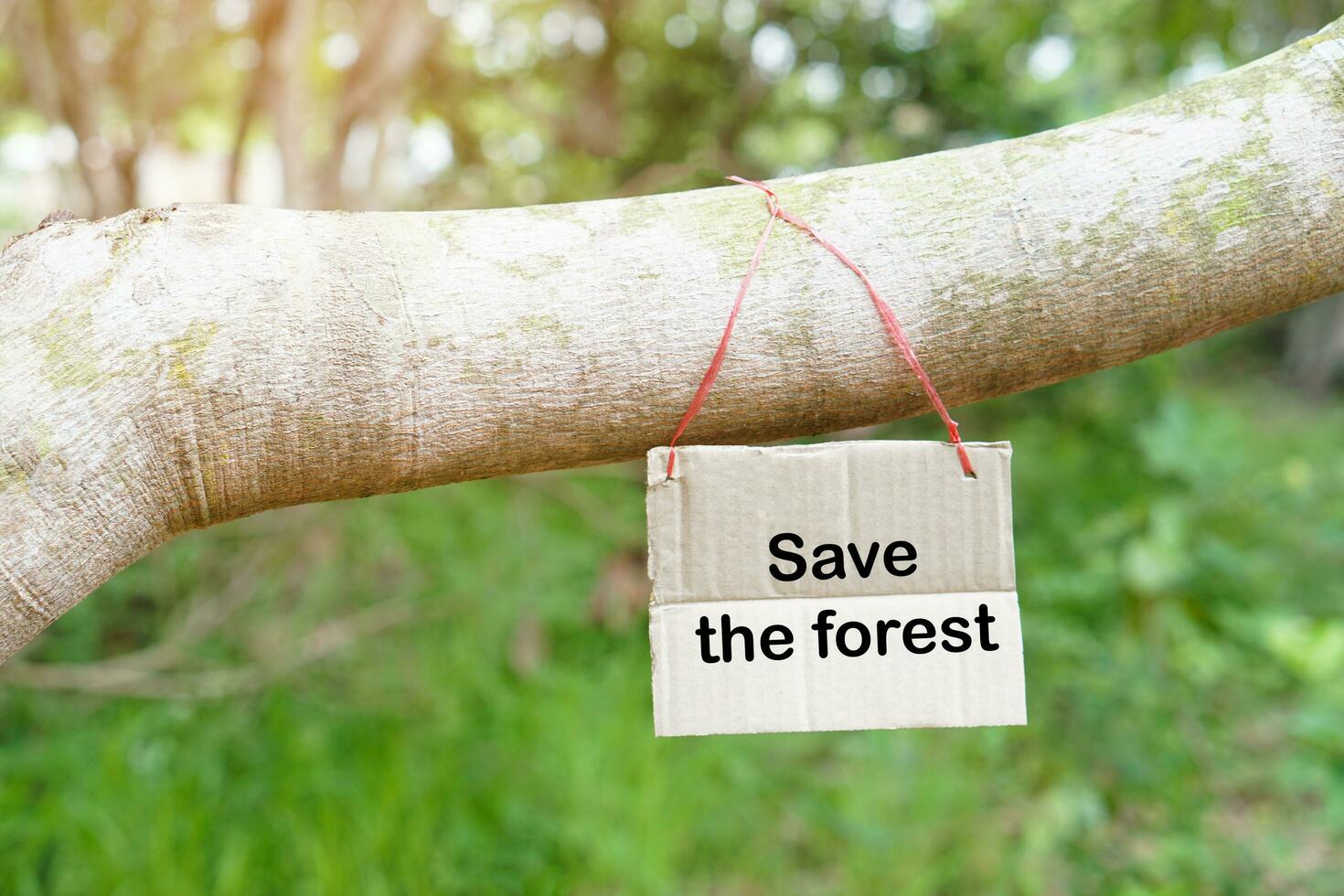 papel tag com palavras Salve  a floresta trava em ramo do árvore dentro floresta. conceito, floresta conservação. campanha pessoas por aí a mundo para Pare desmatamento, cortar baixa árvores, reflorestar foto