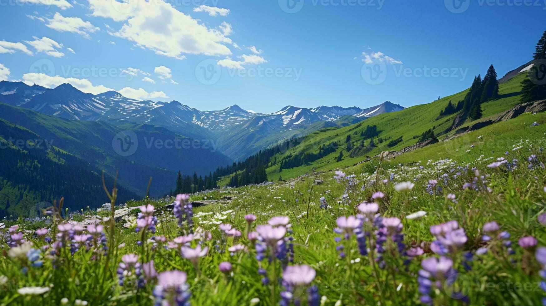 uma colorida campo do flores com majestoso montanhas dentro a fundo ai gerado foto