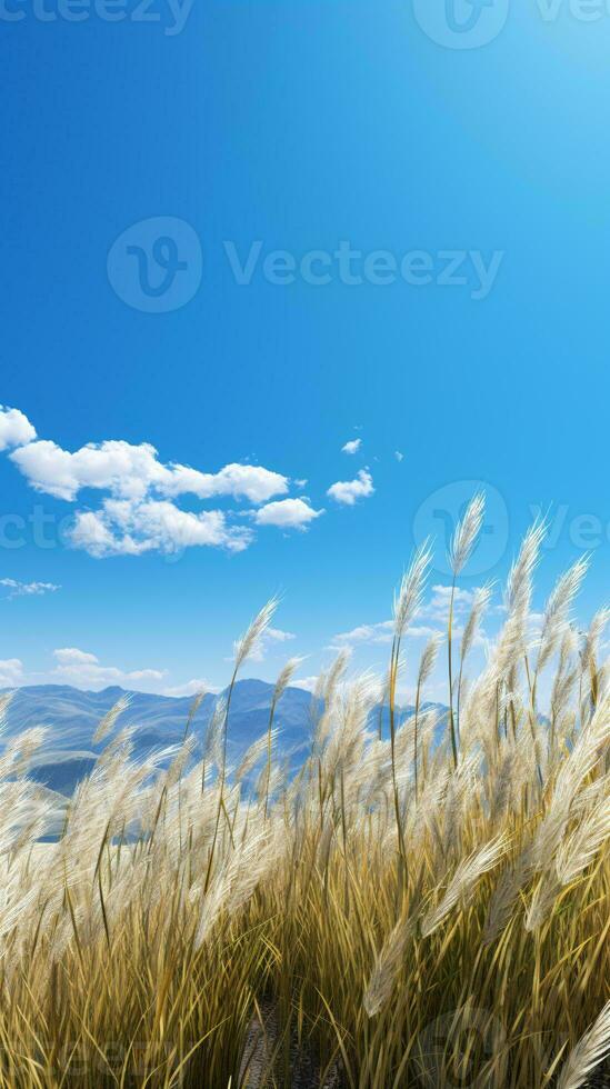 uma sereno campo do alta Relva debaixo uma Claro azul céu ai gerado foto