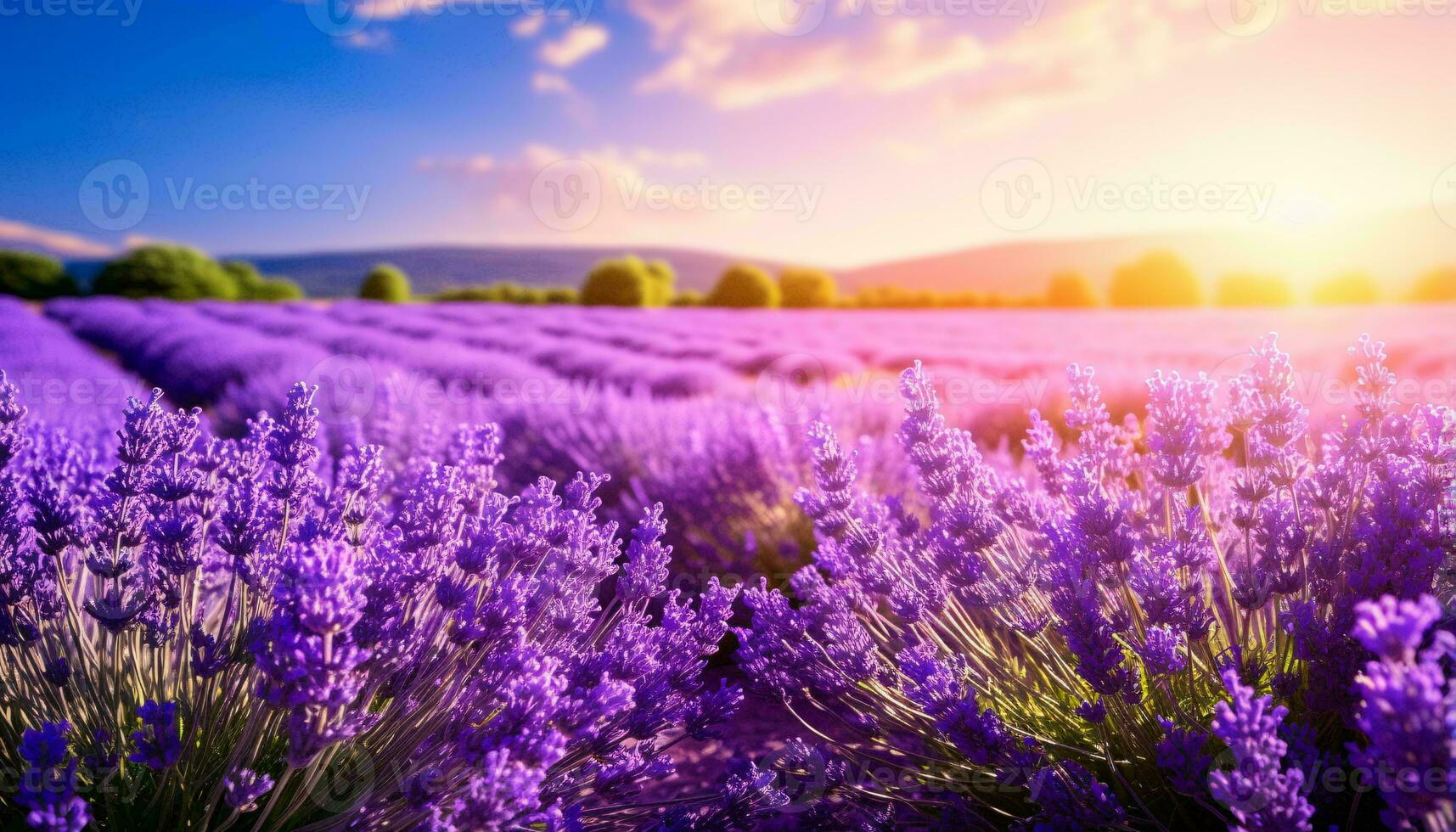 uma tirar o fôlego lavanda campo às pôr do sol ai gerado foto