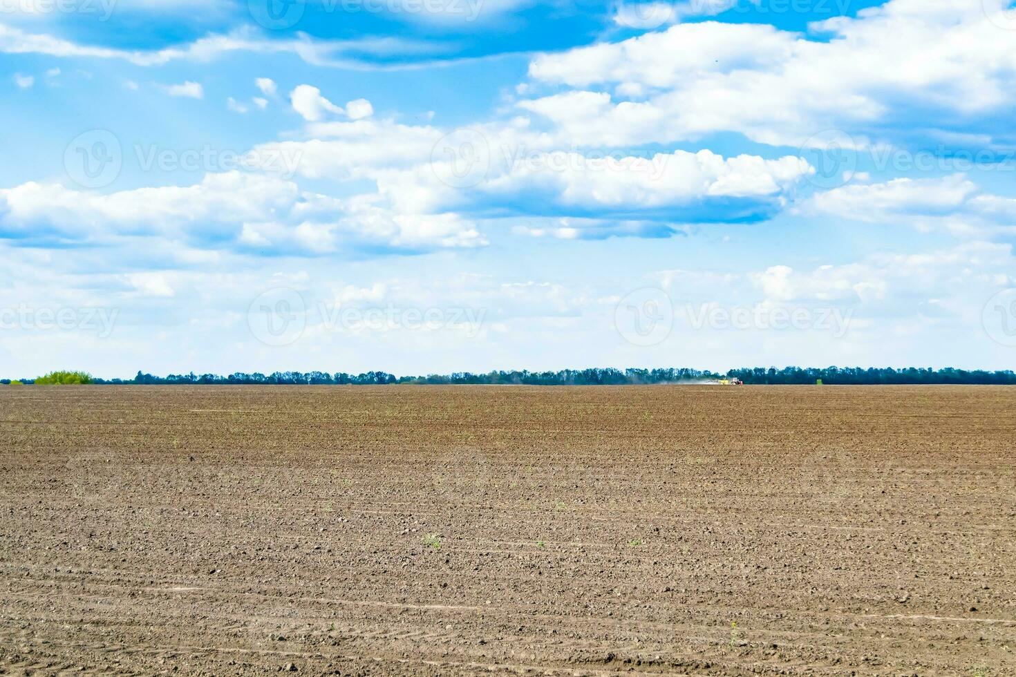 fotografia sobre o tema grande campo de fazenda vazio para colheita orgânica foto