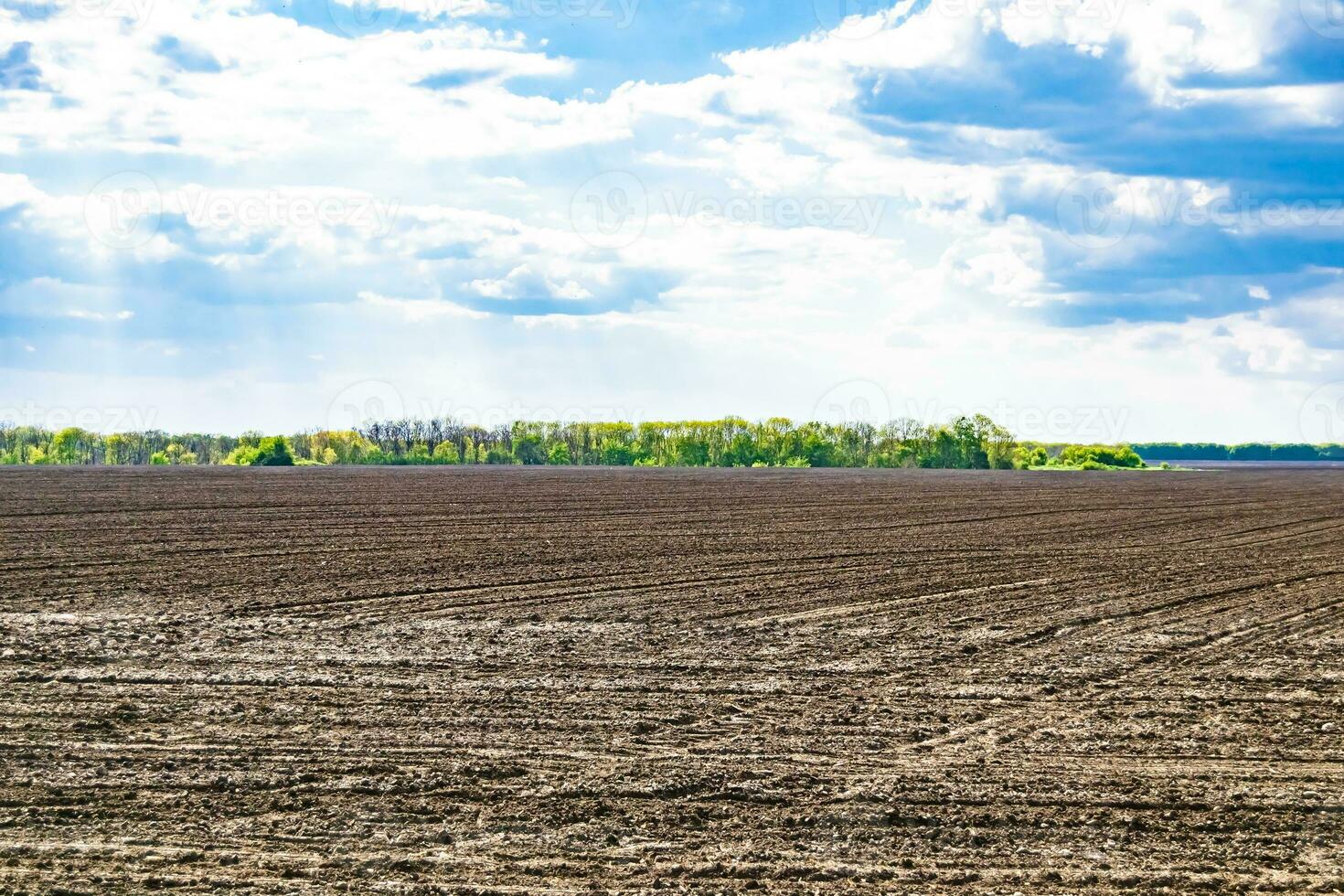 fotografia sobre o tema grande campo de fazenda vazio para colheita orgânica foto