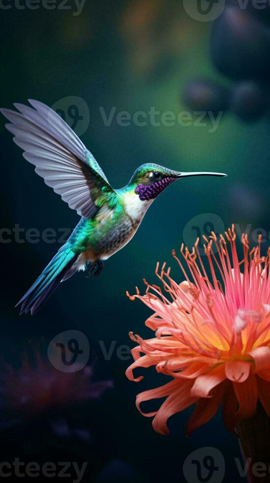 uma beija Flor dentro voar sobre uma vibrante Rosa flor ai gerado foto