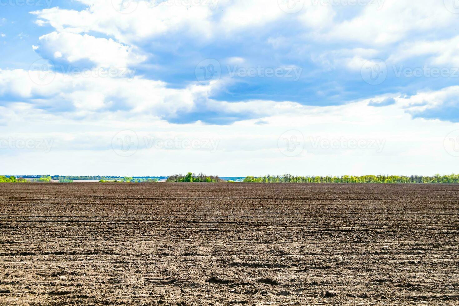 fotografia sobre o tema grande campo de fazenda vazio para colheita orgânica foto