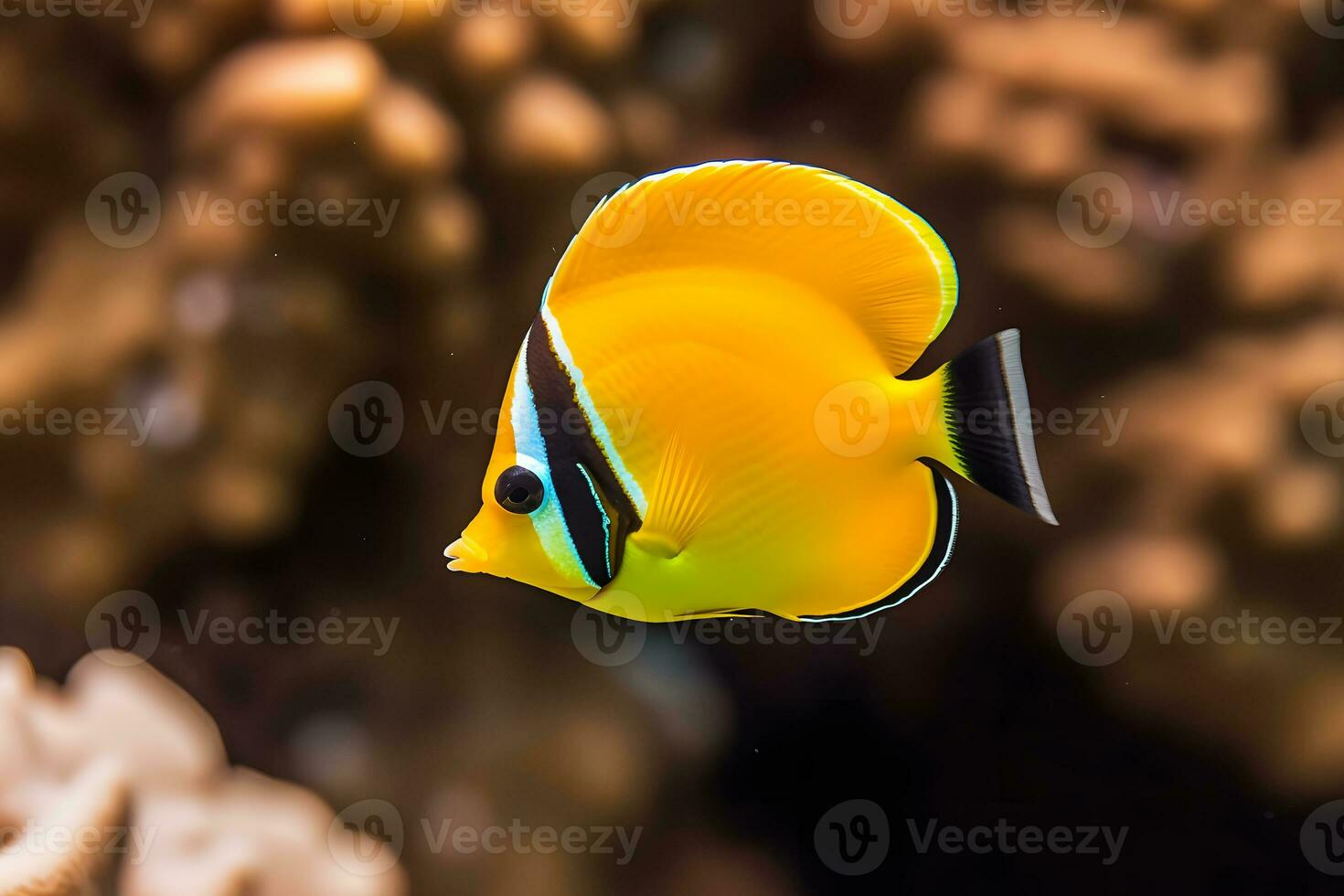 mar vida exótico tropical coral recife cobre borboleta peixe. neural rede ai gerado foto