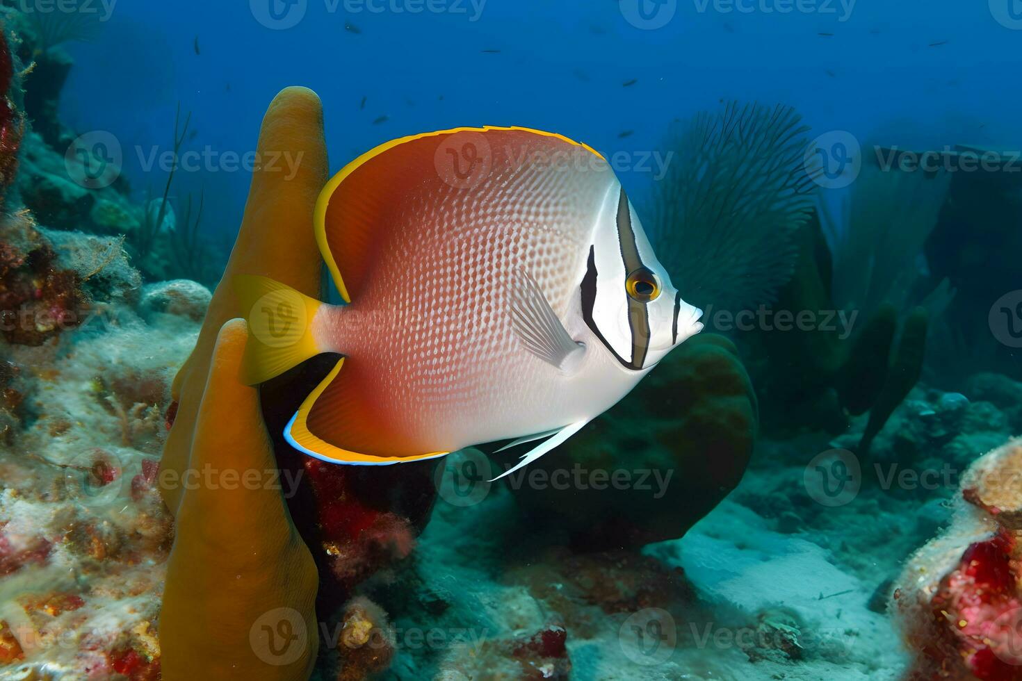 mar vida exótico tropical coral recife cobre borboleta peixe. neural rede ai gerado foto