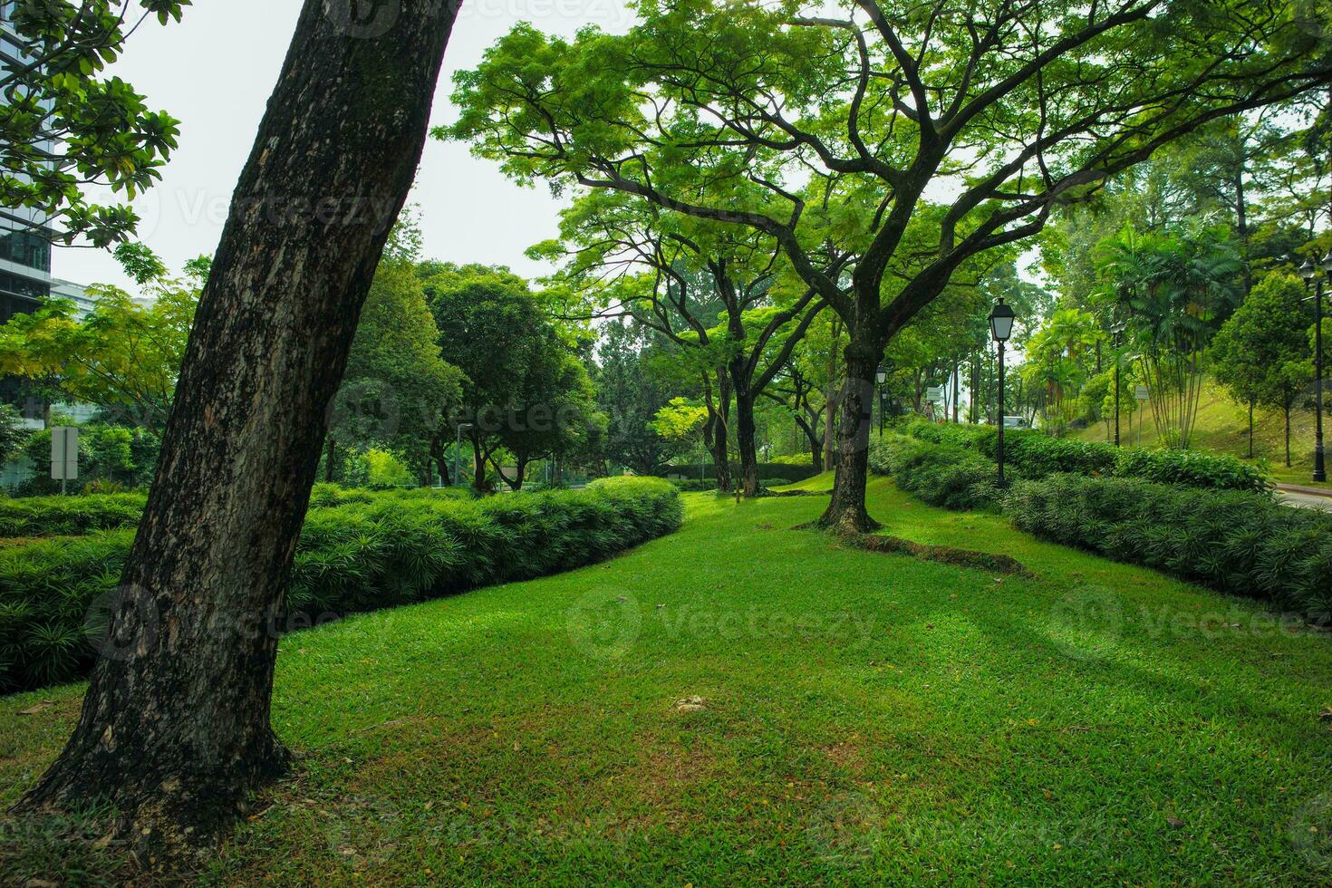 panorama do a público ao ar livre parque com grande árvores e arbustos foto
