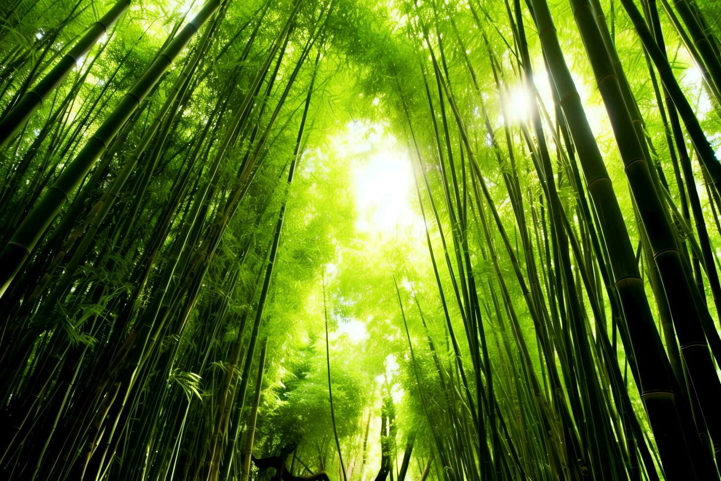 Visão do botânico verde bambu tropical floresta dentro luz do dia. oriental bambu Arvoredo dentro China japonês conceito de ai gerado foto