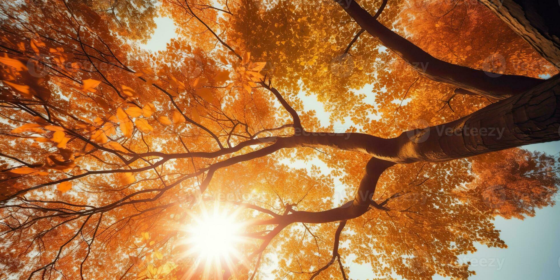 ai gerado. ai generativo. outono outono floresta árvore inferior Visão para a céu. gráfico arte foto