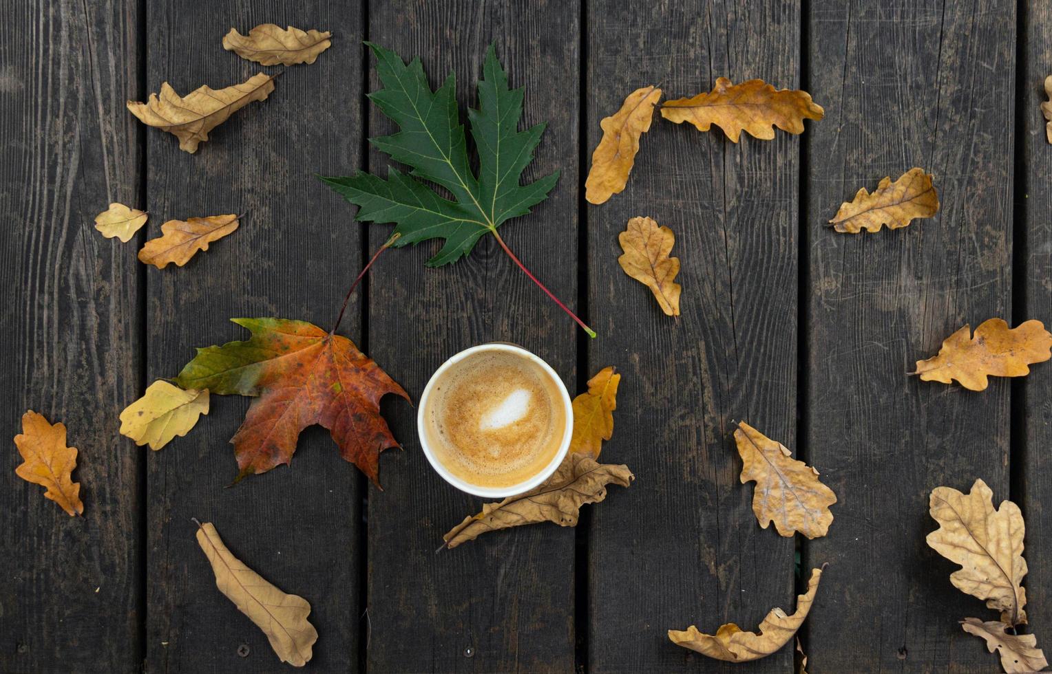 xícara de café e folhagem outono composição plana foto