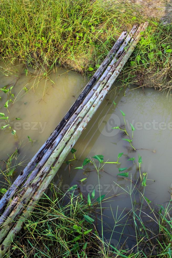 troncos de eucalipto colocados para ponte provisória foto