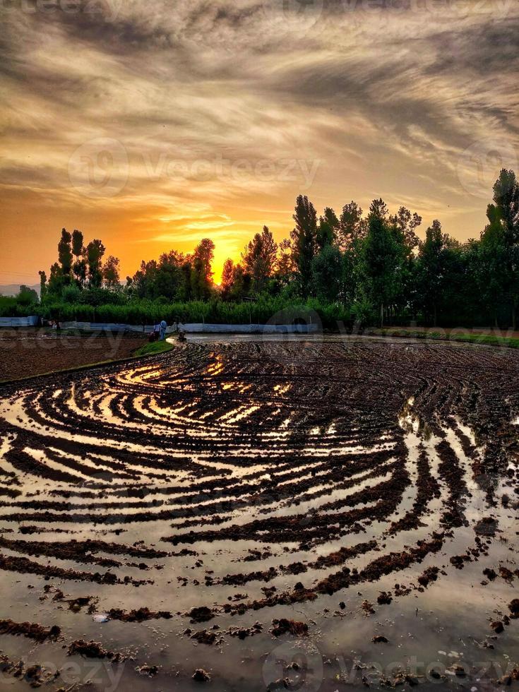 pôr do sol na Caxemira foto