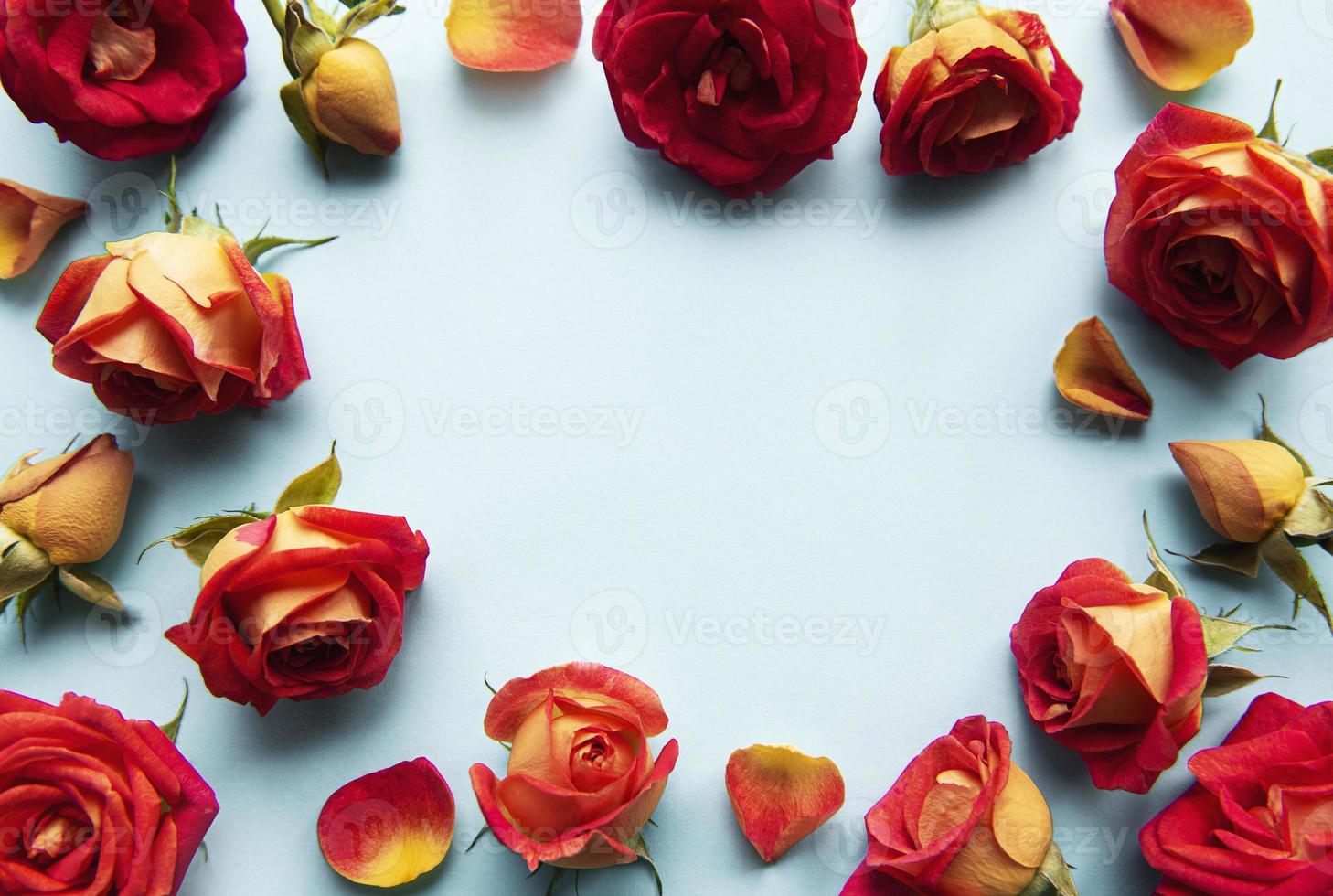 composição de flores. moldura feita de rosas vermelhas foto