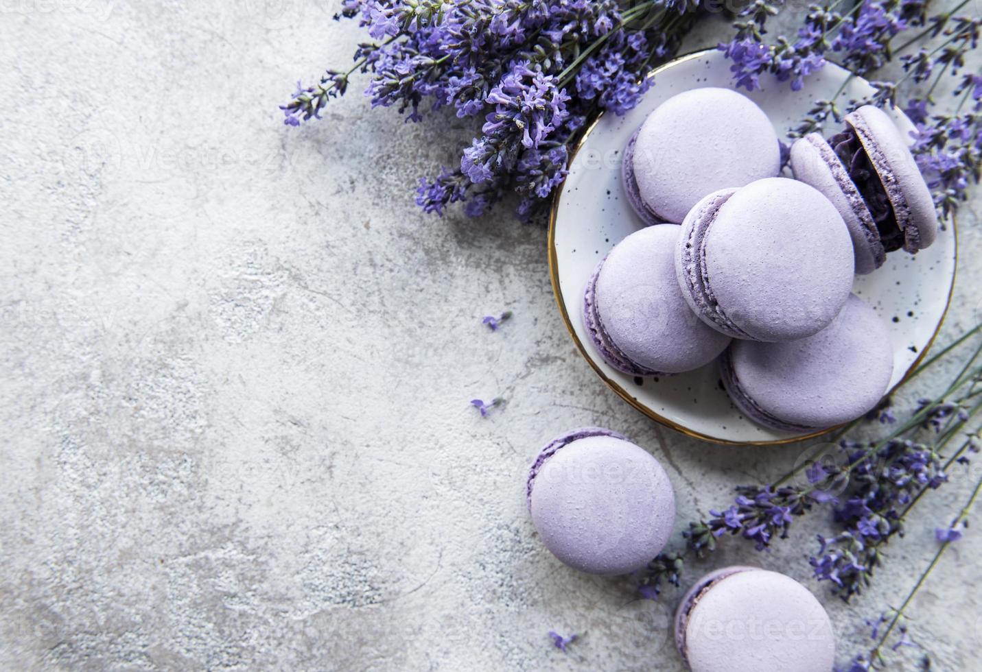 Macarons franceses com sabor de lavanda e flores frescas de lavanda foto