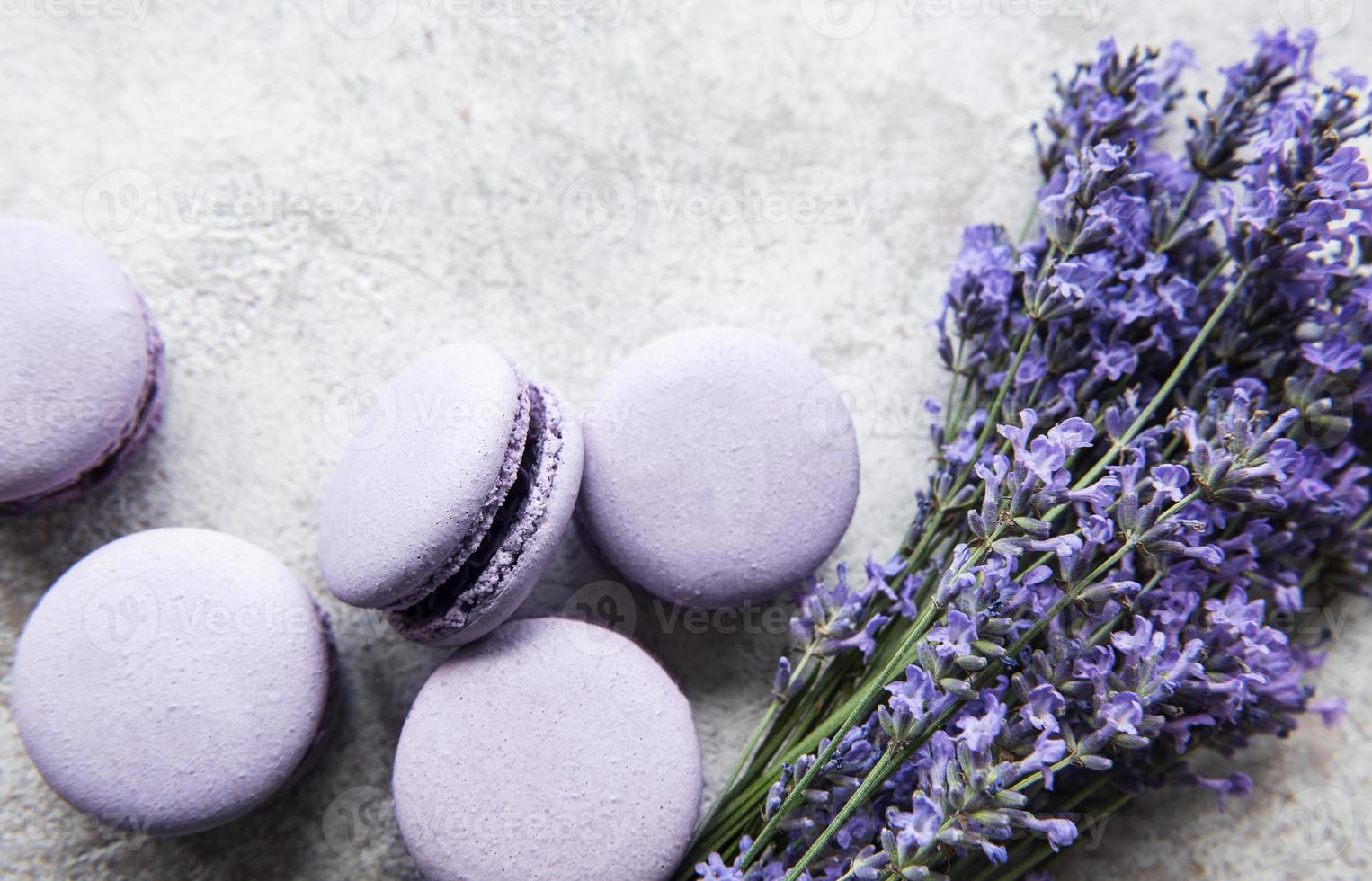 Macarons franceses com sabor de lavanda e flores frescas de lavanda foto