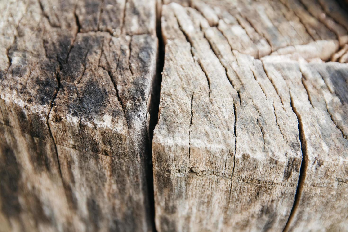 textura de árvore velha e toco como imagem de fundo foto