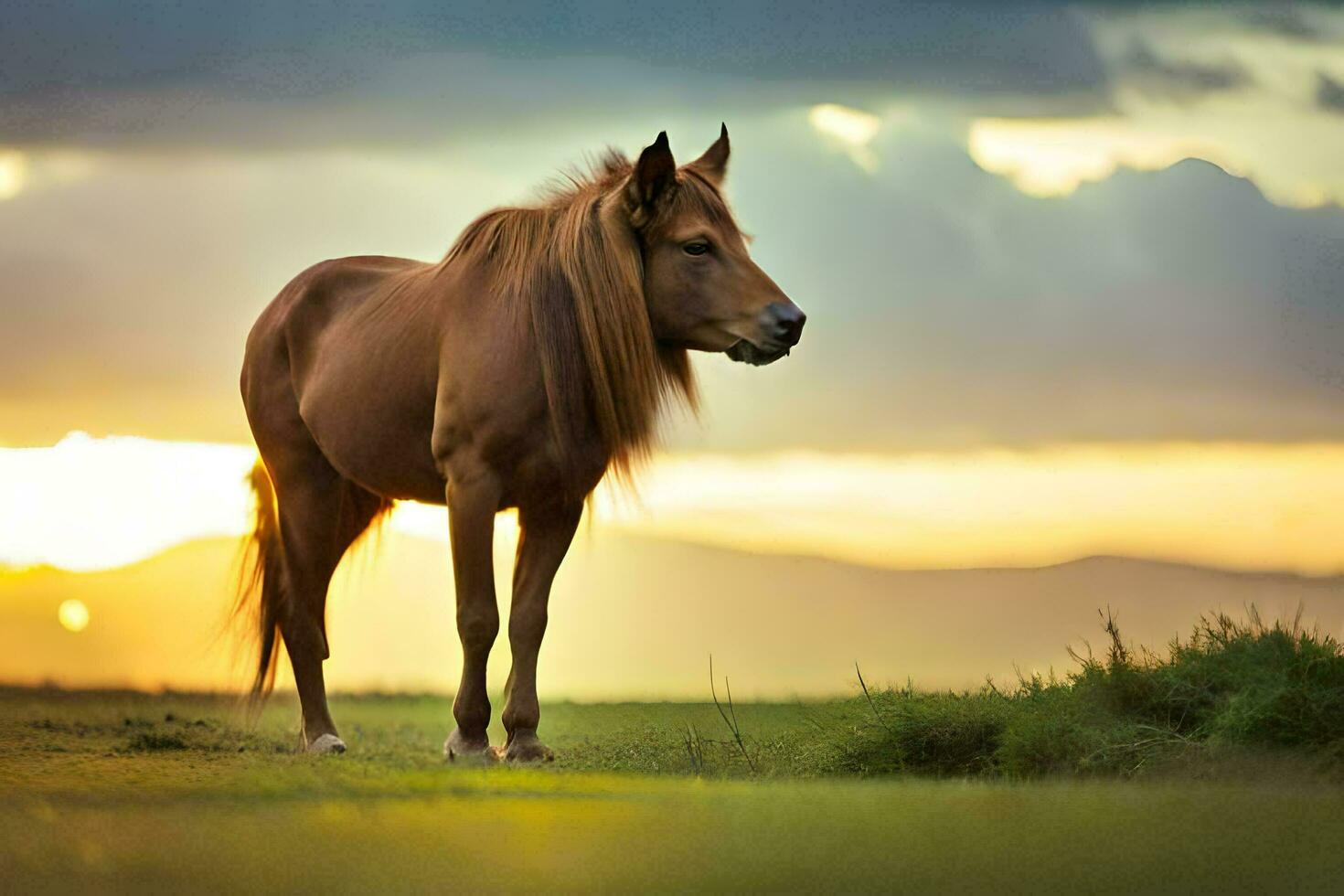 uma cavalo é em pé dentro a Relva às pôr do sol. gerado por IA foto