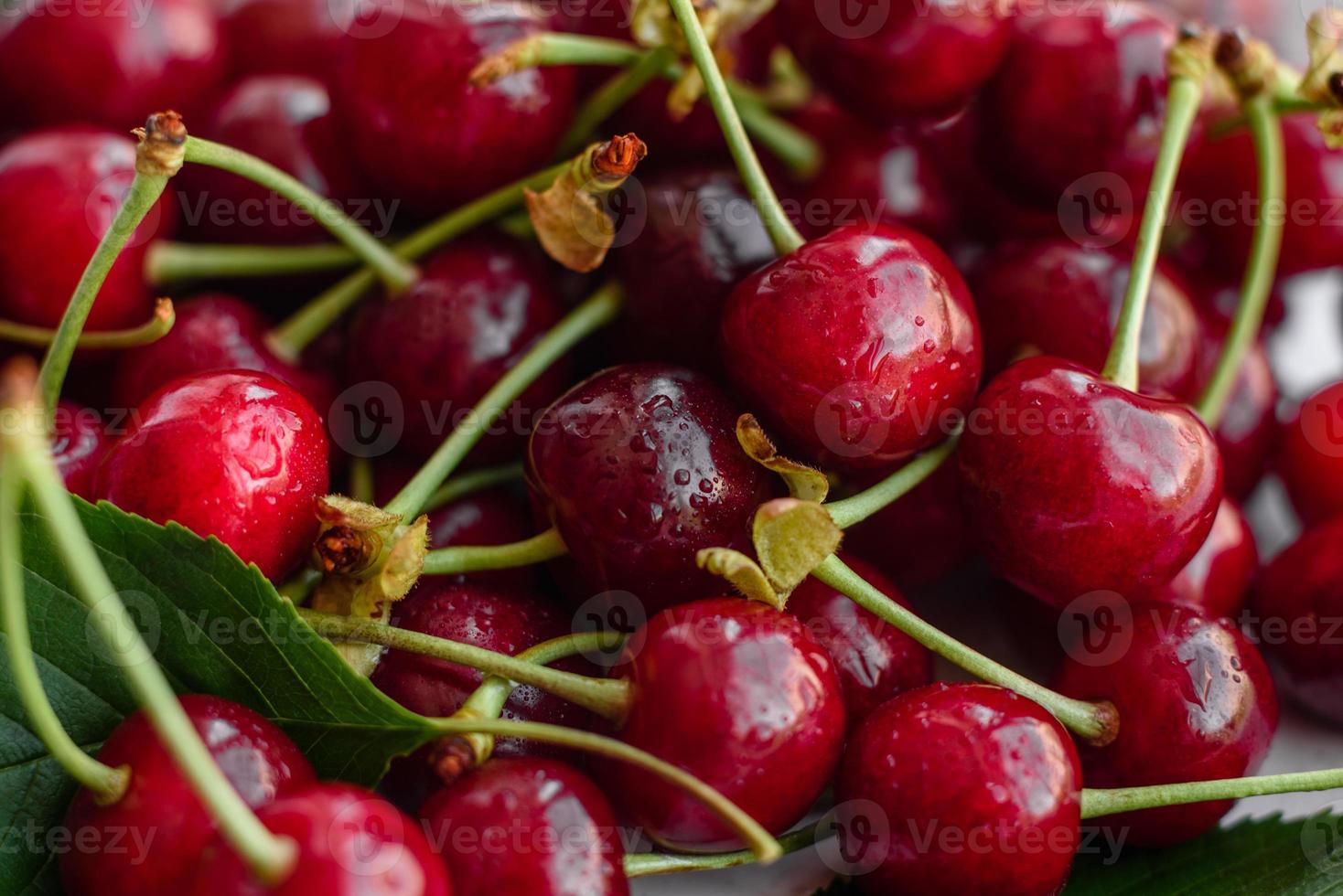 Frescas deliciosas bagas vermelhas brilhantes de cereja rasgadas no jardim de verão foto