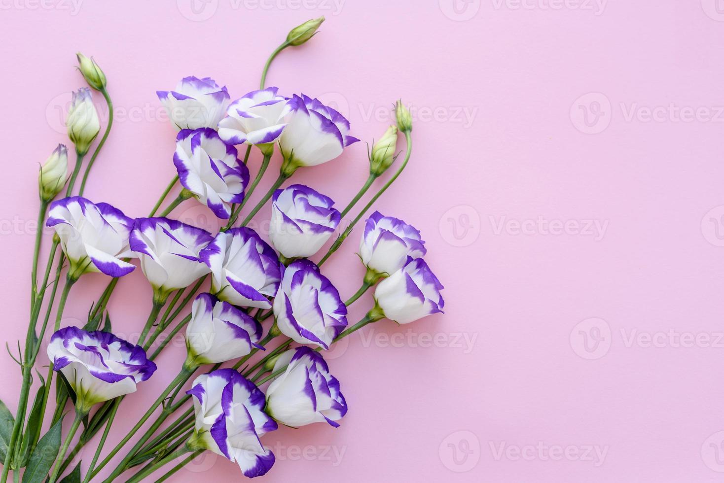 um buquê de lindo eustoma roxo recém-cortado foto