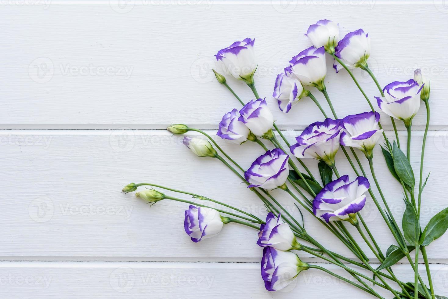 um buquê de lindo eustoma roxo recém-cortado foto