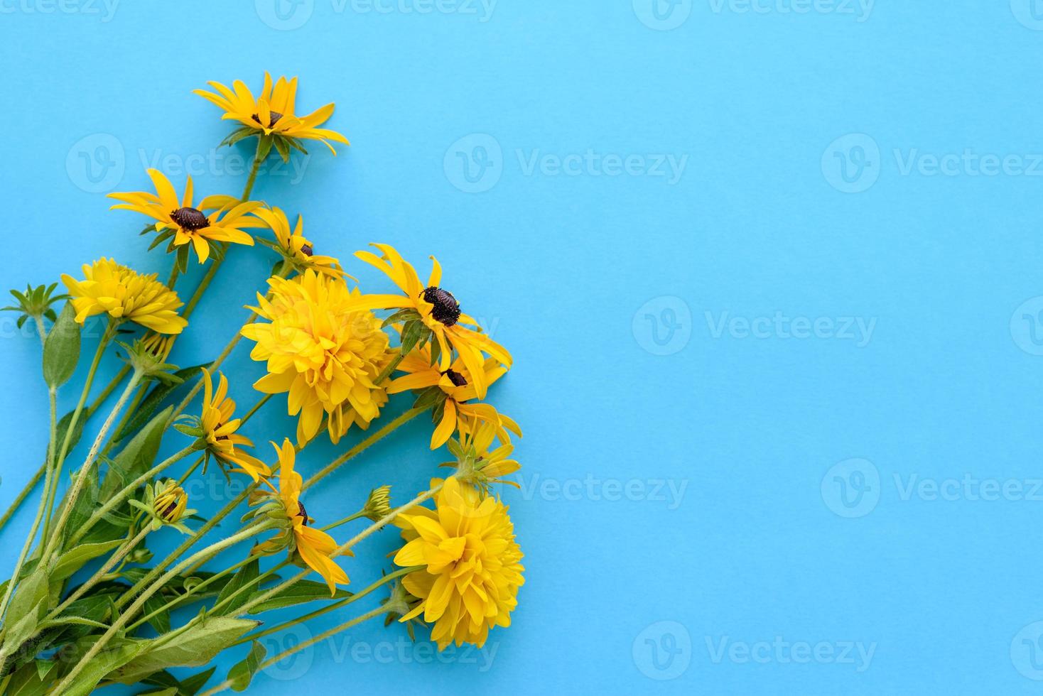 um buquê de lindas flores amarelas recém-cortadas em um fundo azul foto