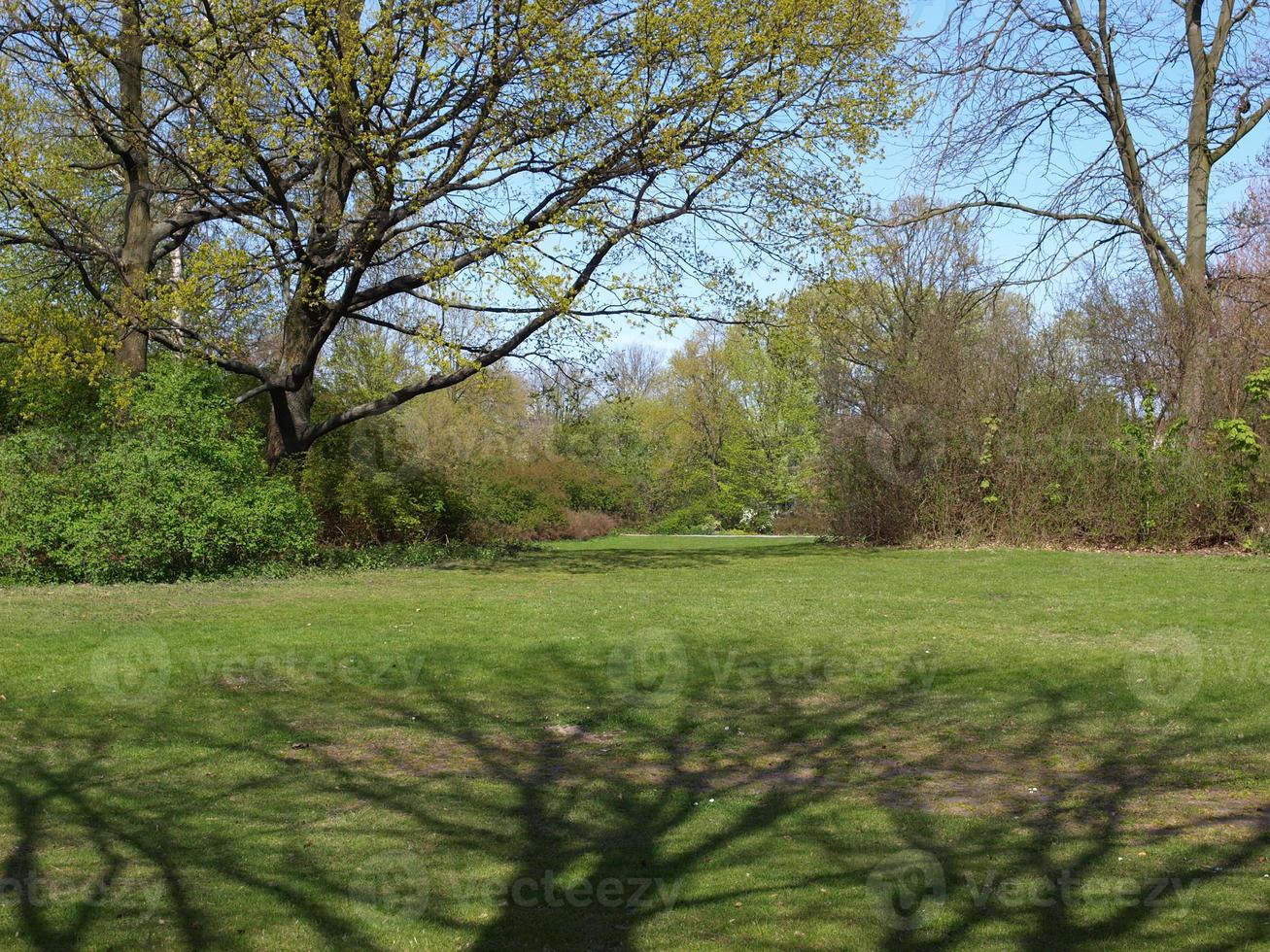 parque tiergarten, berlim foto