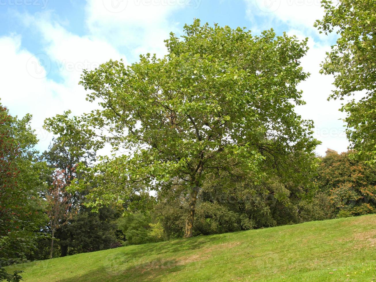 Parque Kelvingrove em Glasgow foto