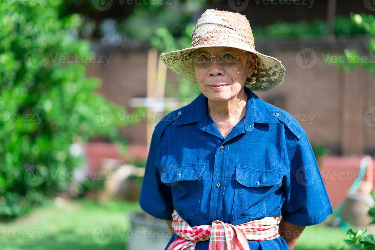 retrato de um fazendeiro sênior asiático com um rosto sorridente em pé na fazenda foto