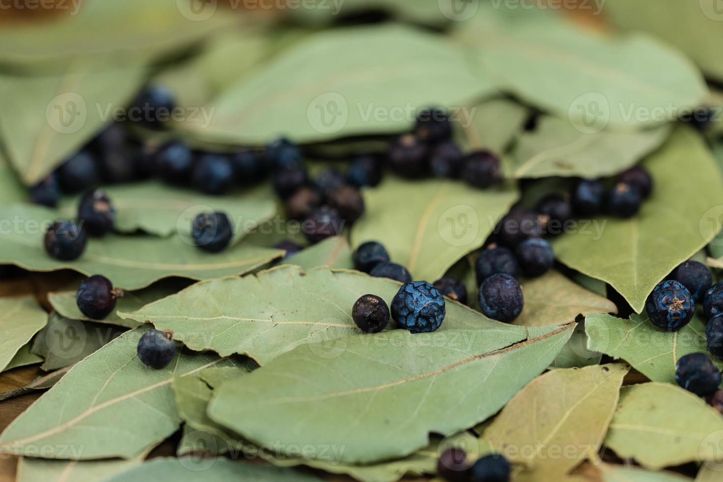 folhas de louro e bagas de zimbro em madeira de oliveira foto