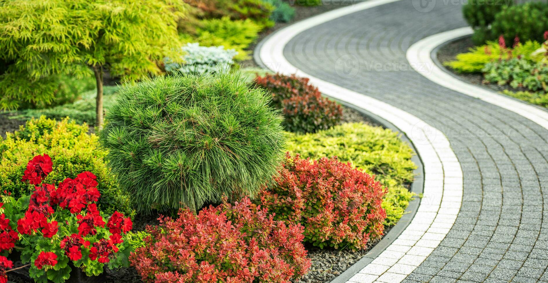 elegante enrolamento concreto tijolos fez costas Jardim jardim caminho foto