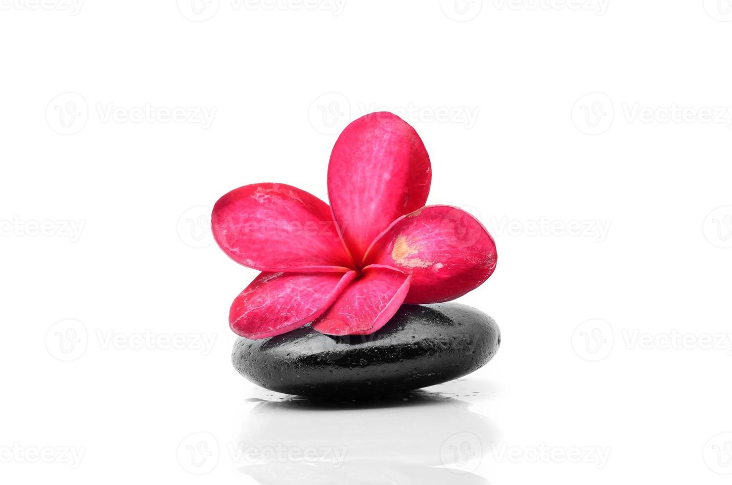 pedras zen com flor de frangipani foto