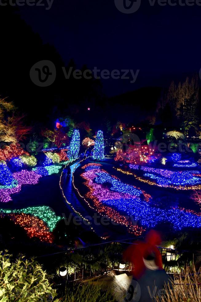 luzes de natal em butchart gardens foto